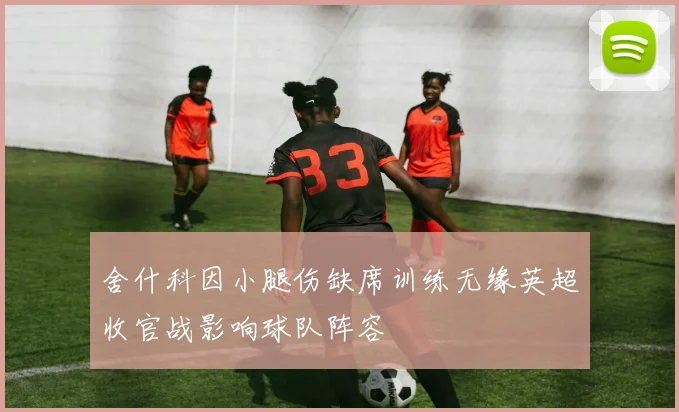 舍什科因小腿伤缺席训练无缘英超收官战影响球队阵容