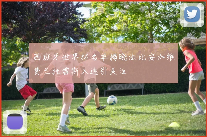 西班牙世界杯名单揭晓法比安加维费兰托雷斯入选引关注